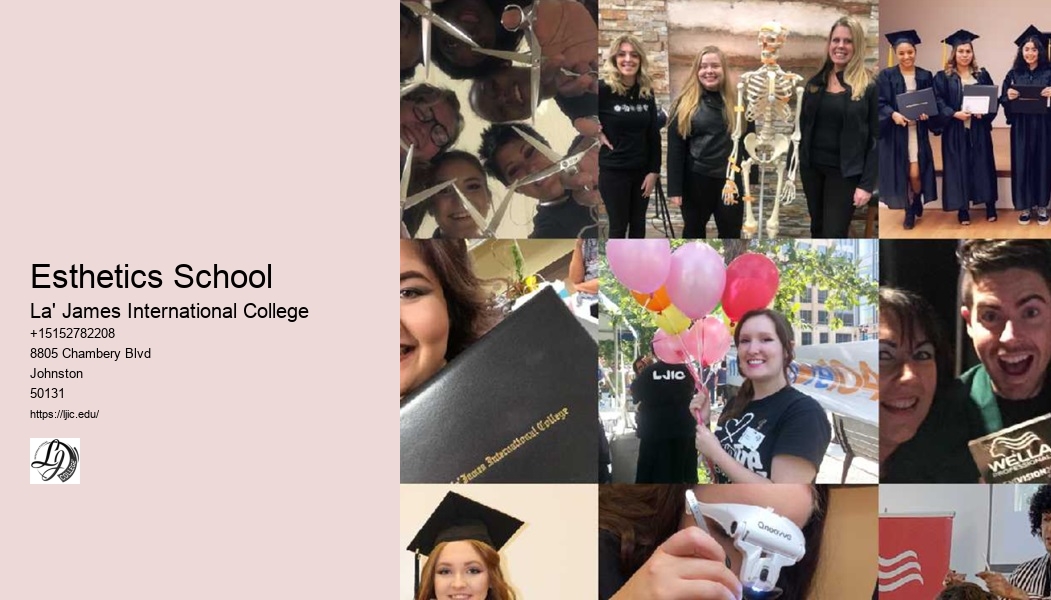 Esthetics School